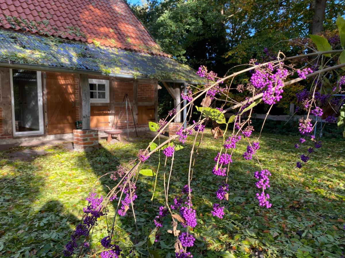 - Artland's - Fuer Familien Und Gruppen Ferienhaus *